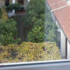 Palazzo Cappuccini Art Relais